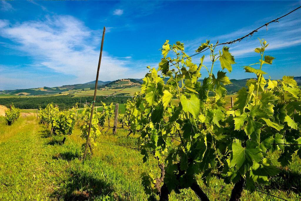 Agriturismo Il Canterino جوارديستالو المظهر الخارجي الصورة