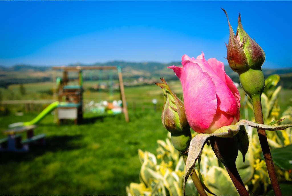 Agriturismo Il Canterino جوارديستالو المظهر الخارجي الصورة
