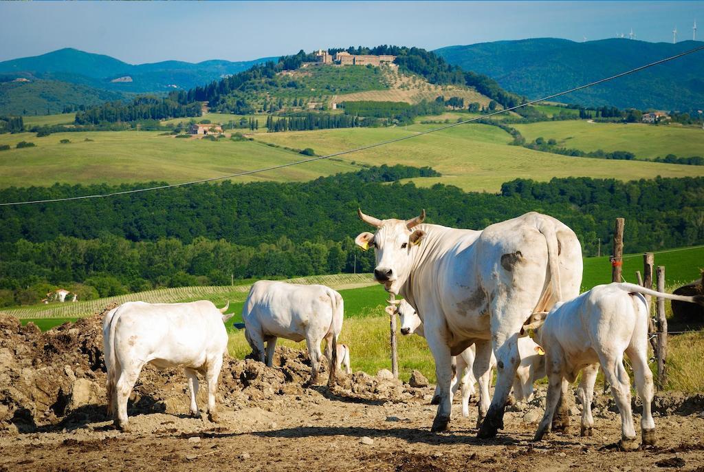 Agriturismo Il Canterino جوارديستالو المظهر الخارجي الصورة